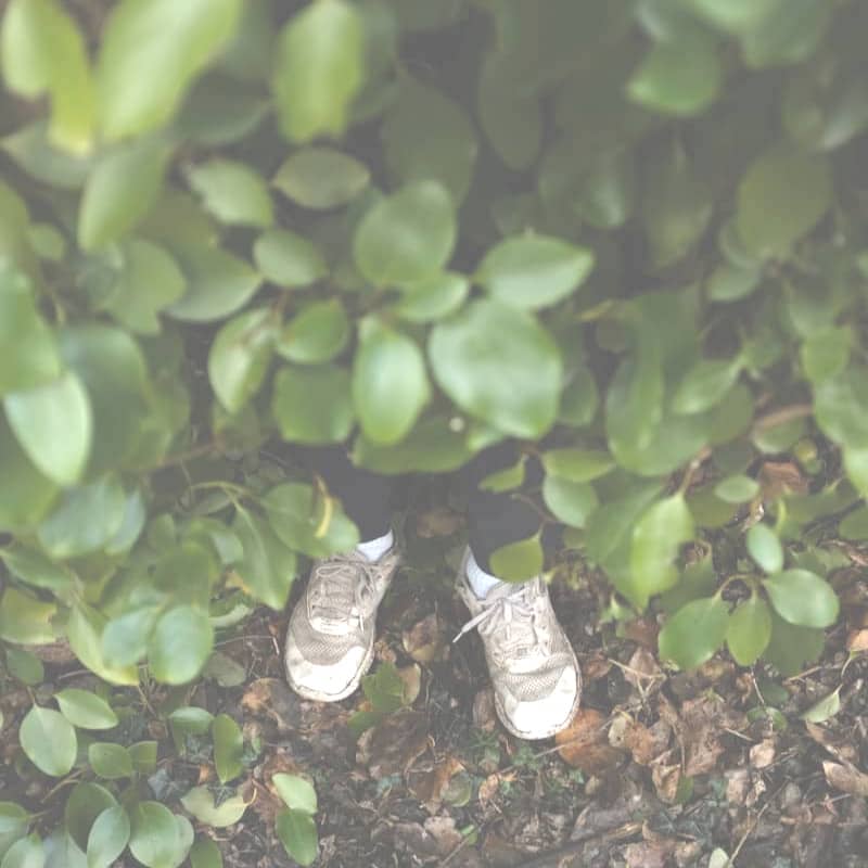 Child's feet hidden behind green leaves
