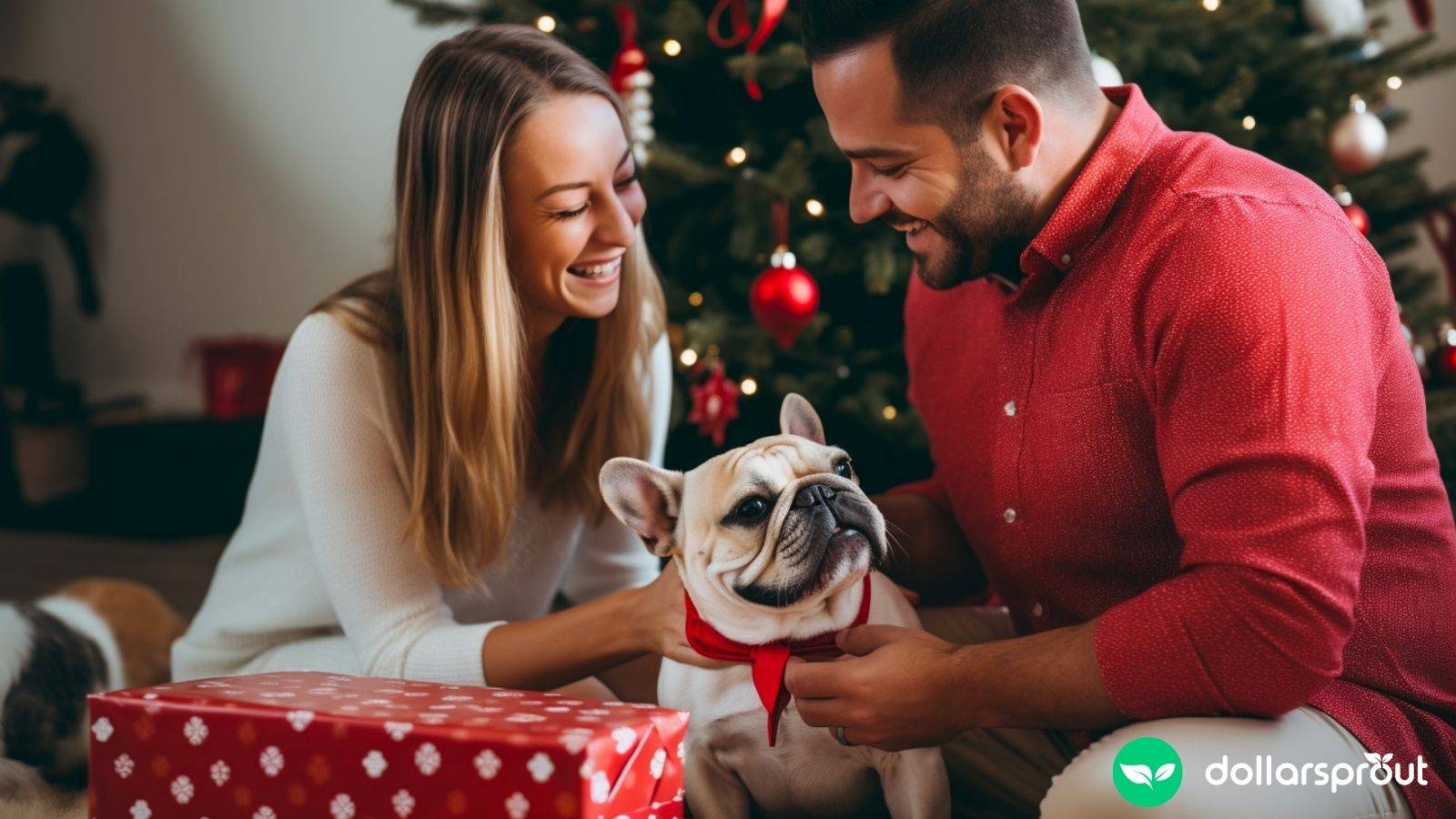 a couple sitting in front of a christmas tree with their new french bull dog puppy gift