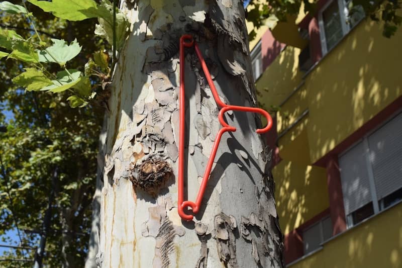 Red wire hanger attached to a tree trunk.