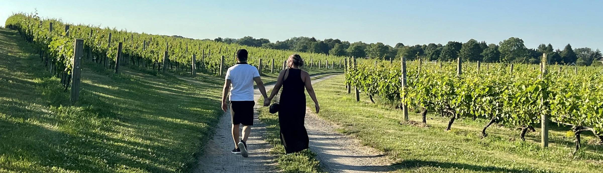 Jack and Cheryl holding hands walking in a vineyard. Hamptons, New York.