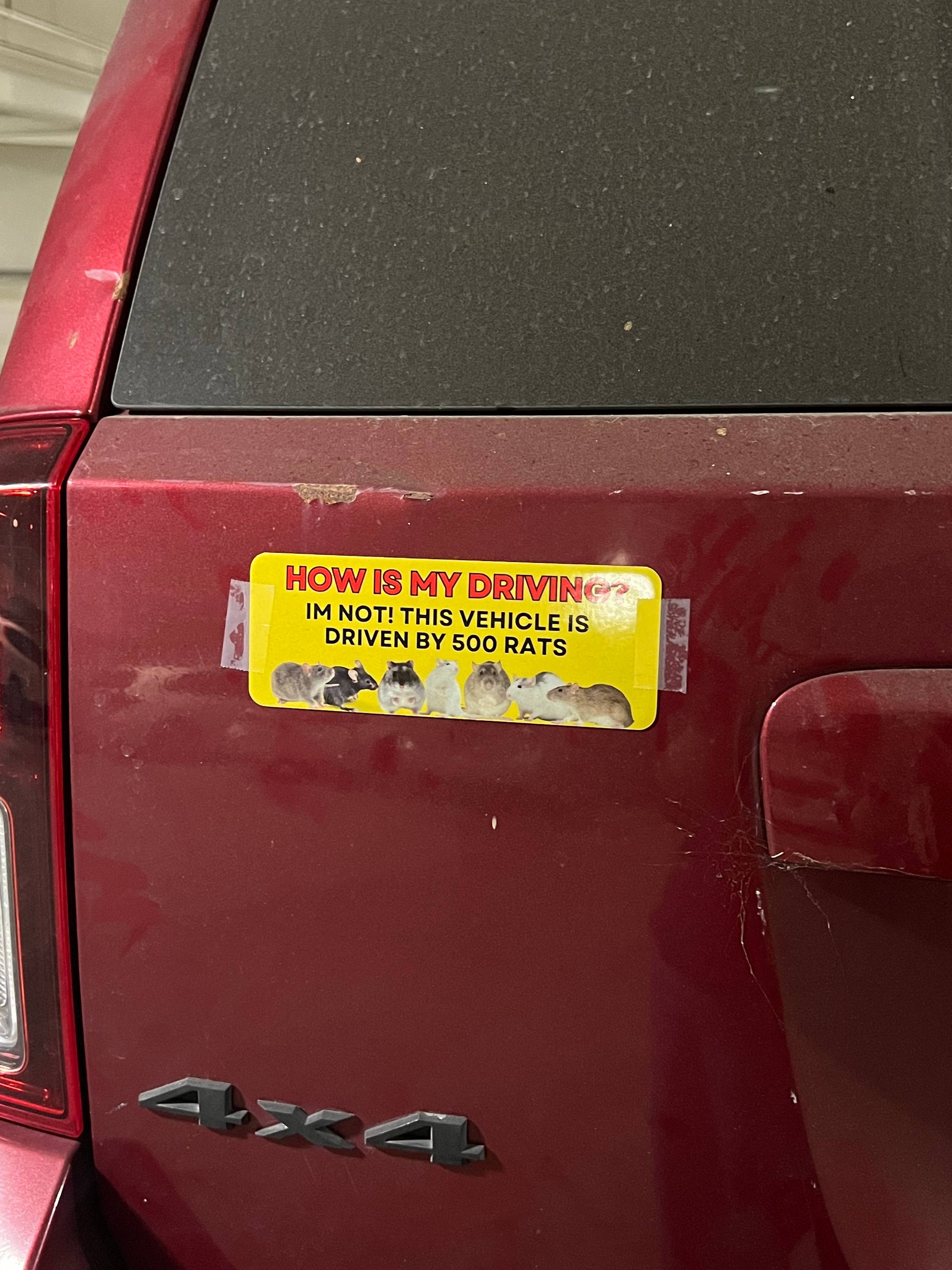 yellow bumper sticker on a red car reads "How is my driving? I'm not! This vehicle is driven by 500 rats"