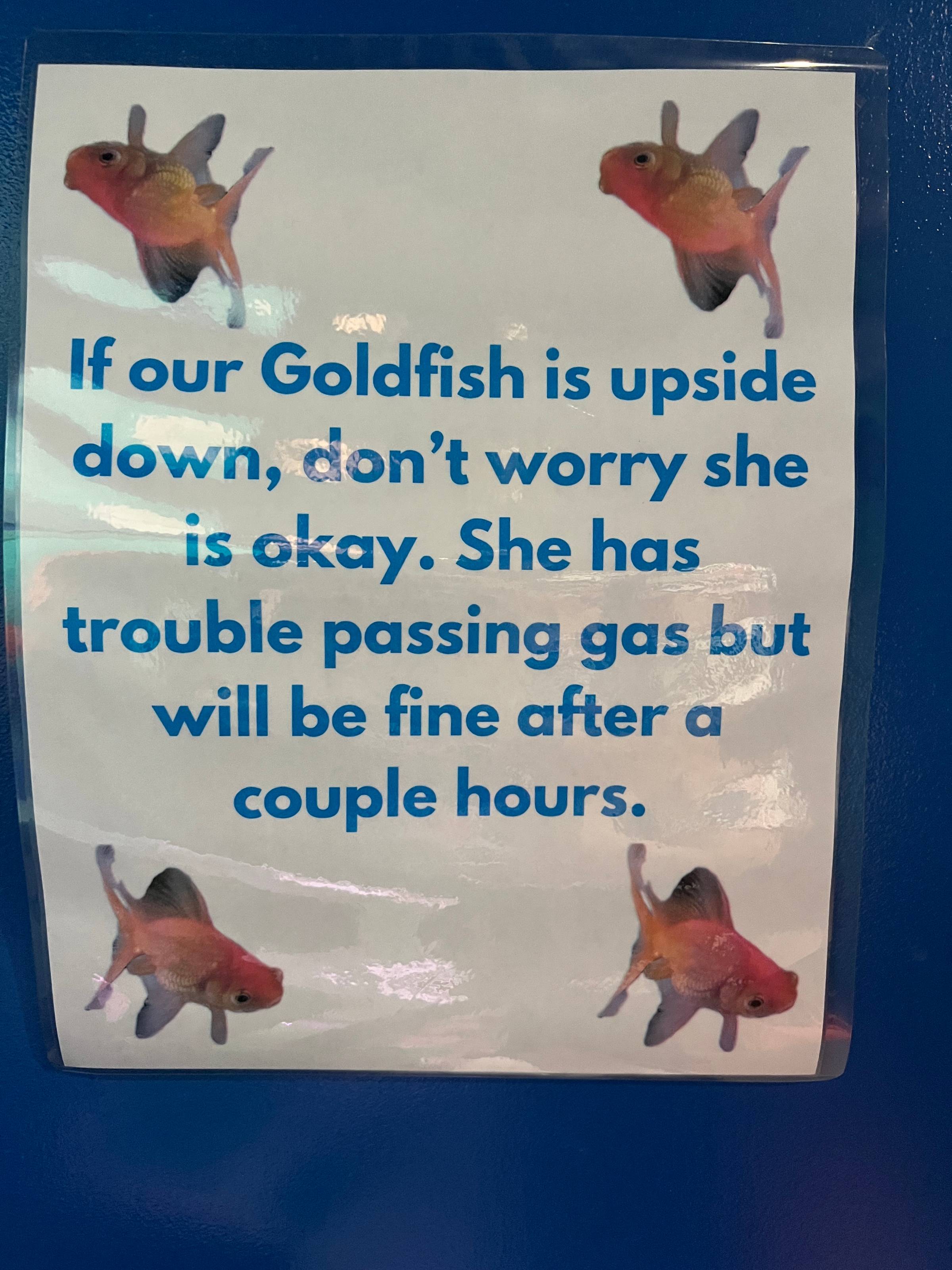 sign reading "If our Goldfish is upside down, don't worry she is okay. She has trouble passing gas but will be fine after a couple hours."