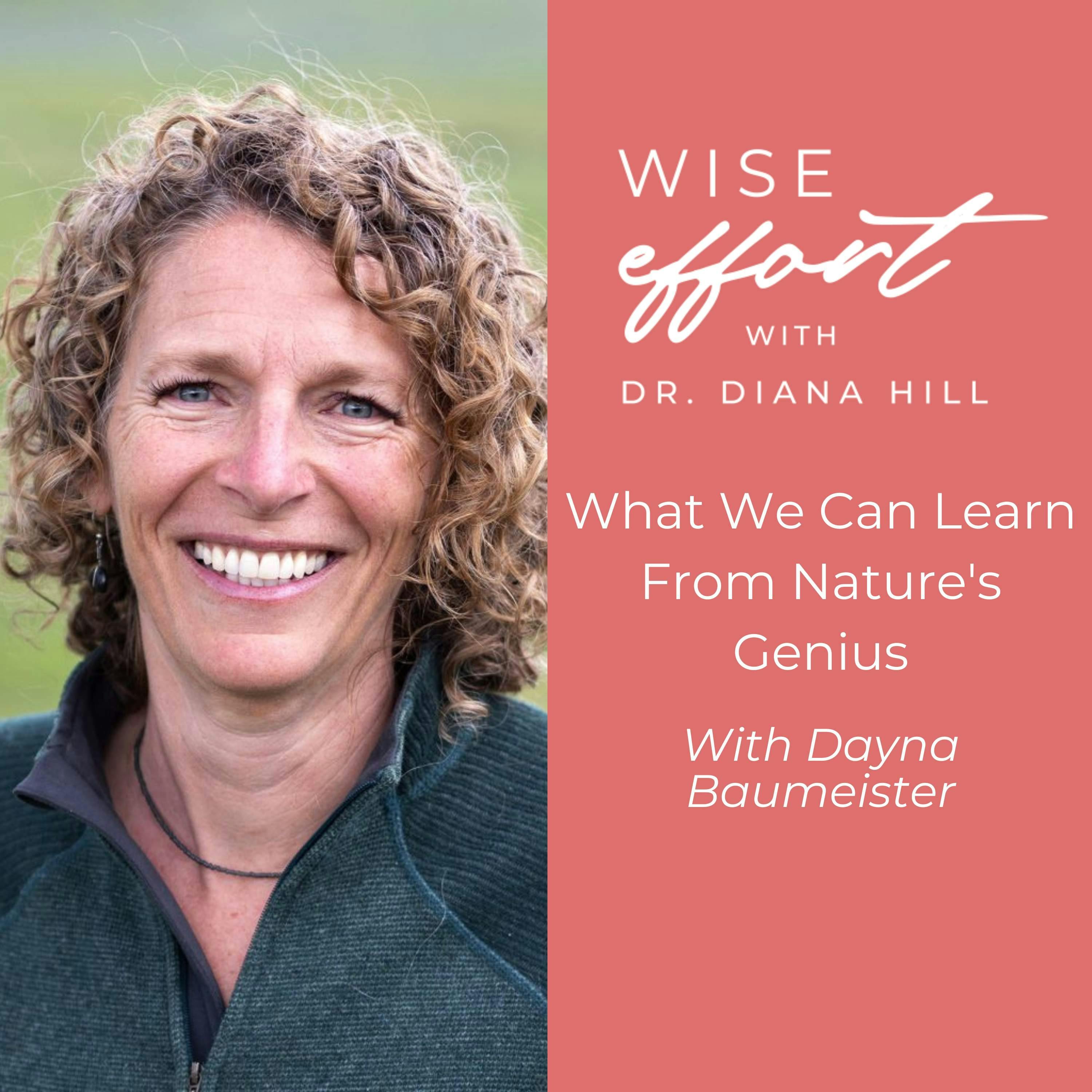 What We Can Learn From Nature's Genius With Dayna Baumeister on the Wise Effort Show with Dr. Diana Hill