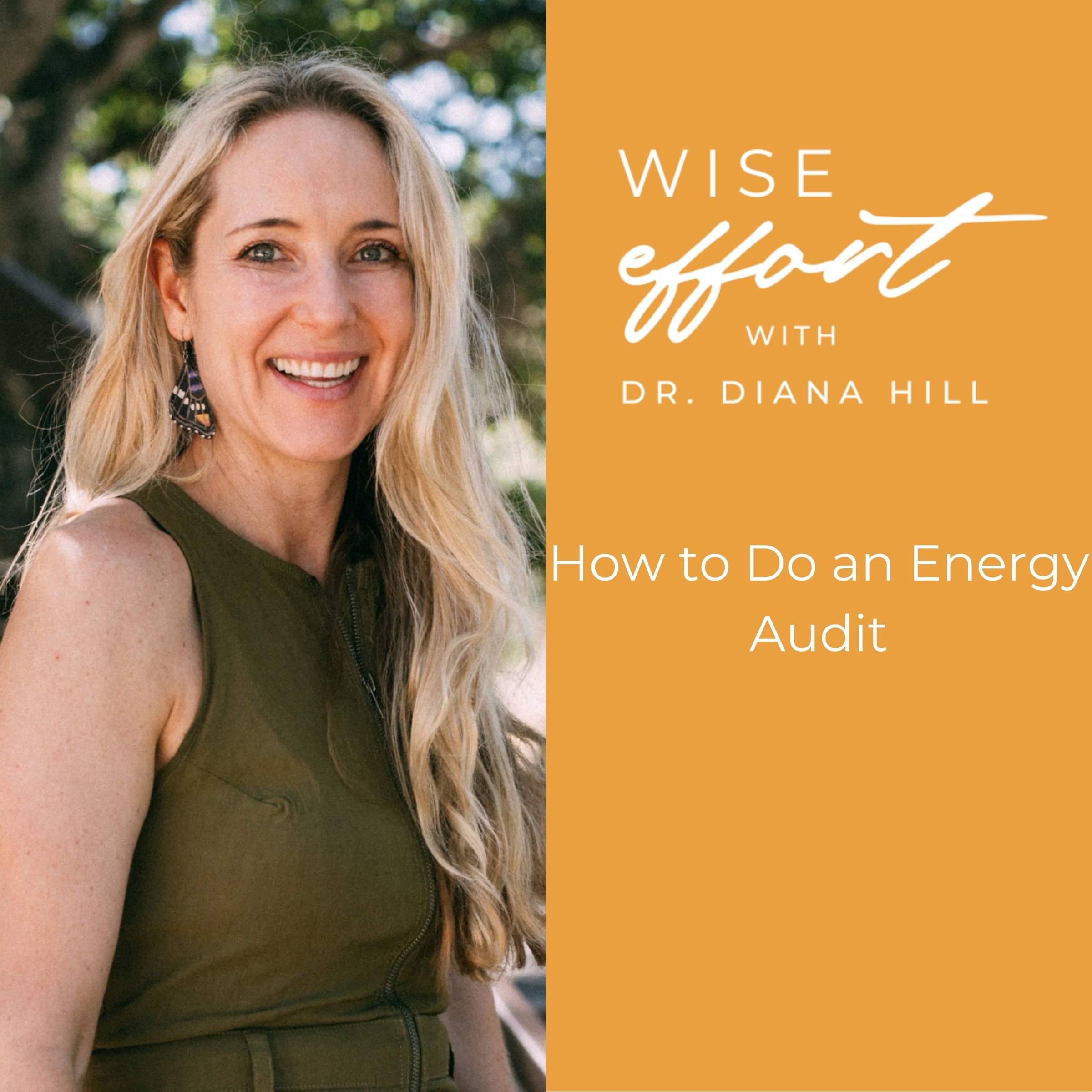 How to do an energy audit with Dr. Diana Hill | ACT Psychologist | Leadership Coach | Wise Effort 