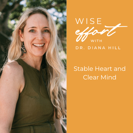 Stable Heart and Clear Mind with Dr. Diana Hill | ACT Psychologist | Leadership Coach | Wise Effort 