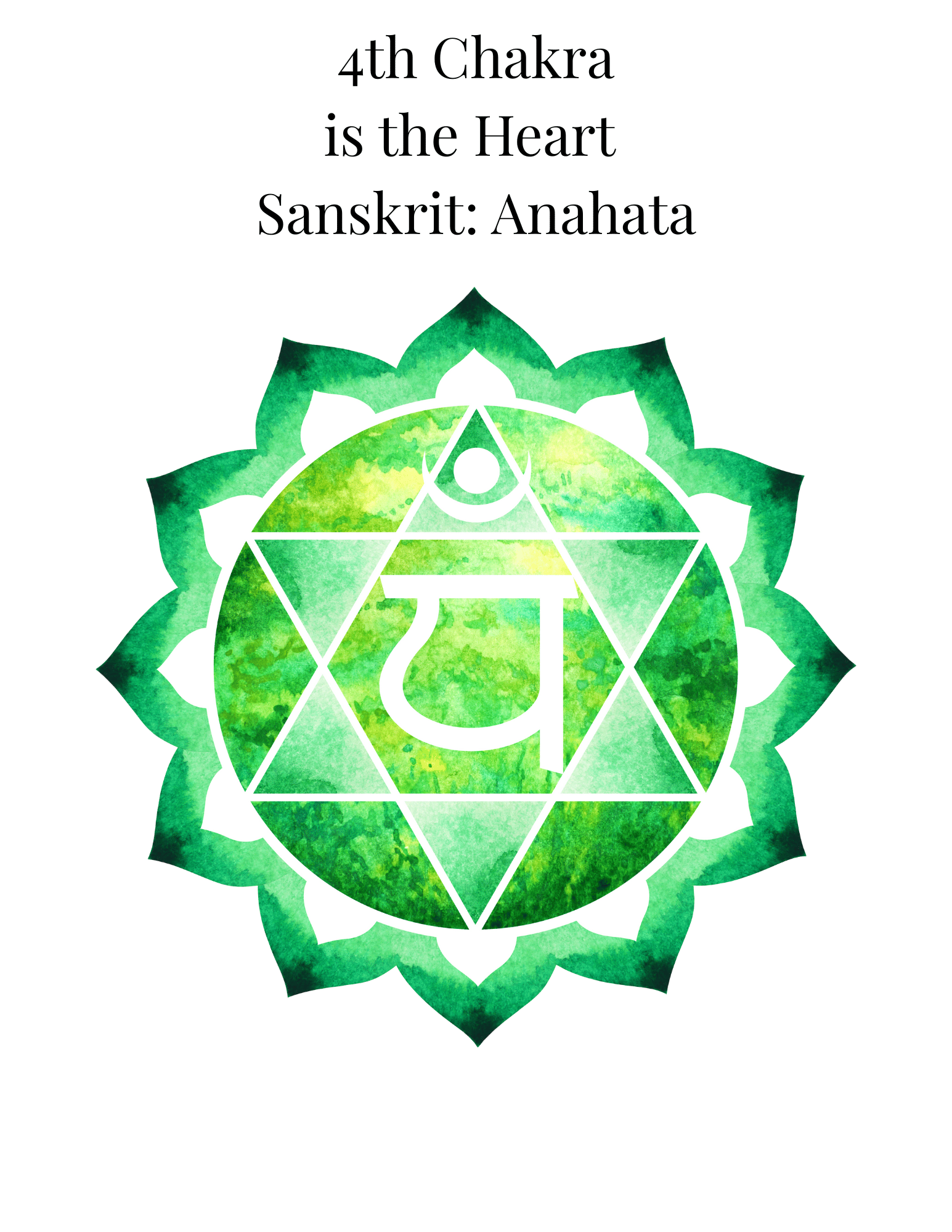 Intentional Self-Care Newsletter: VOL#15