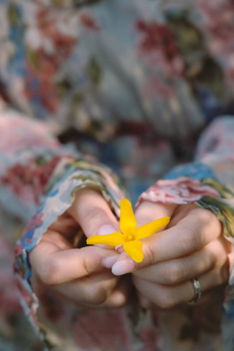 A person holds a small yellow flower in their hands.