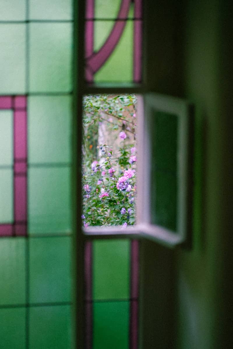Open window reveals garden with pink flowers