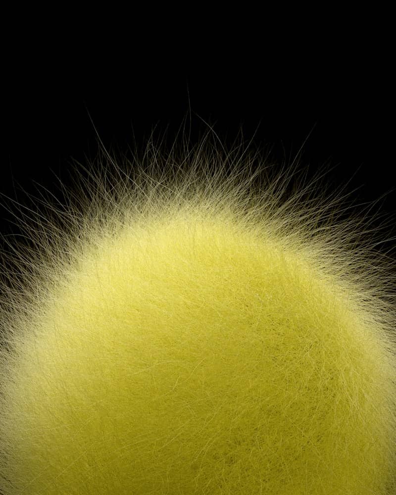 Close-up of a yellow tennis ball against black background.