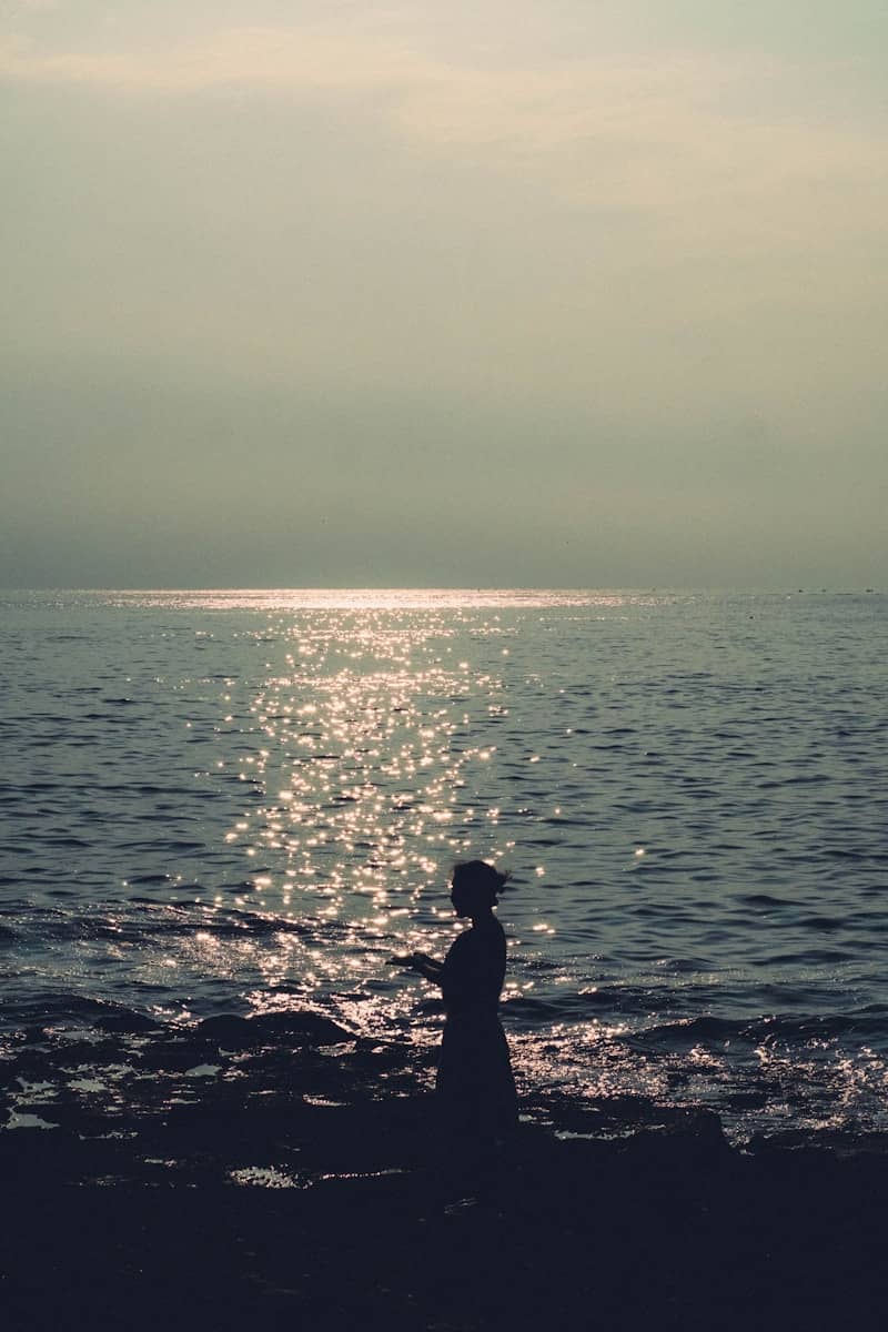 A person standing on a beach next to the ocean