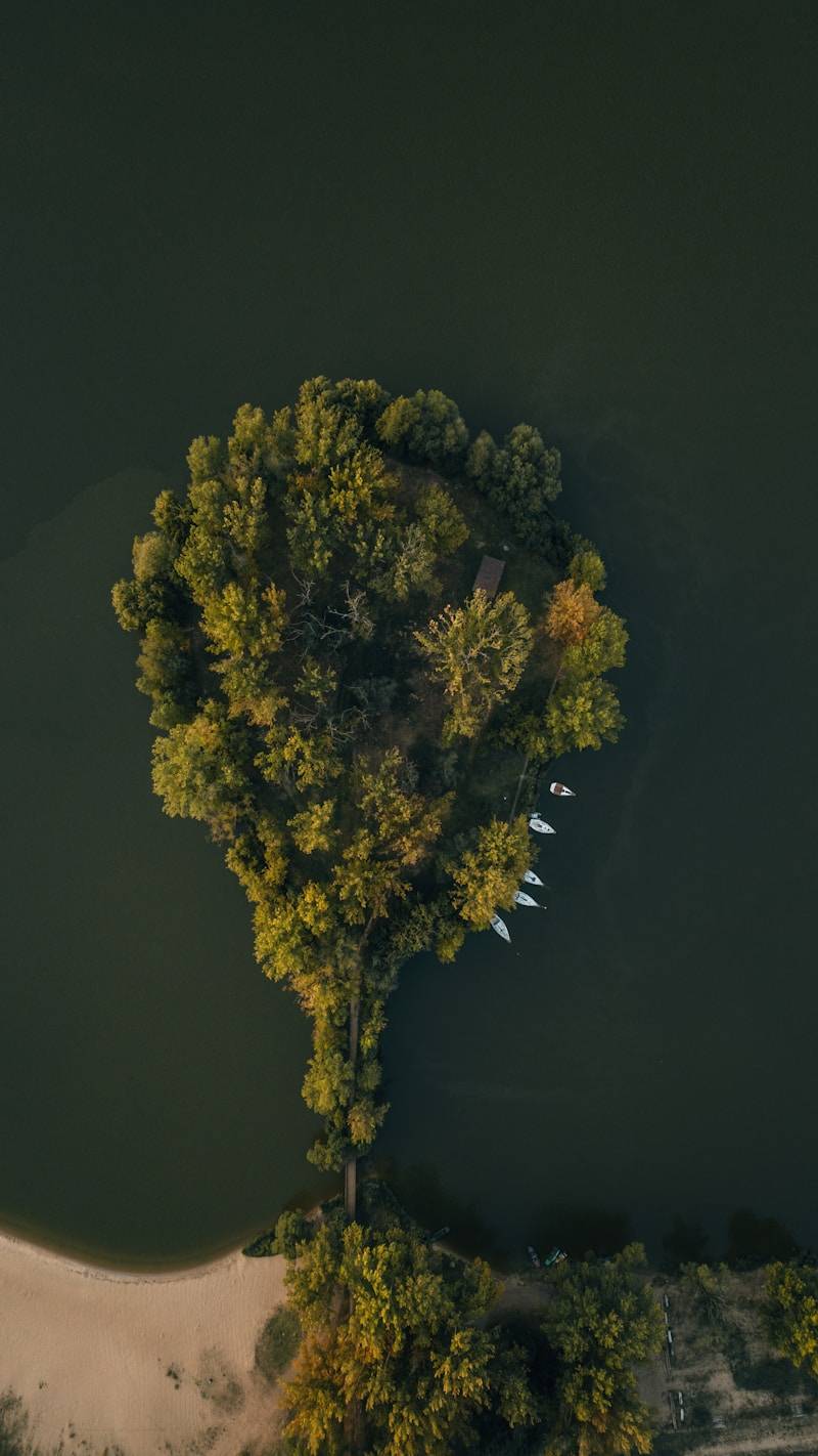 Aerial view of a tree-covered island with boats docked