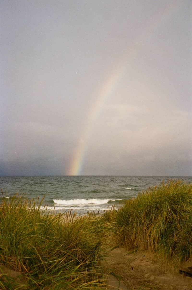 Rainbow over the ocean with grassy dunes
