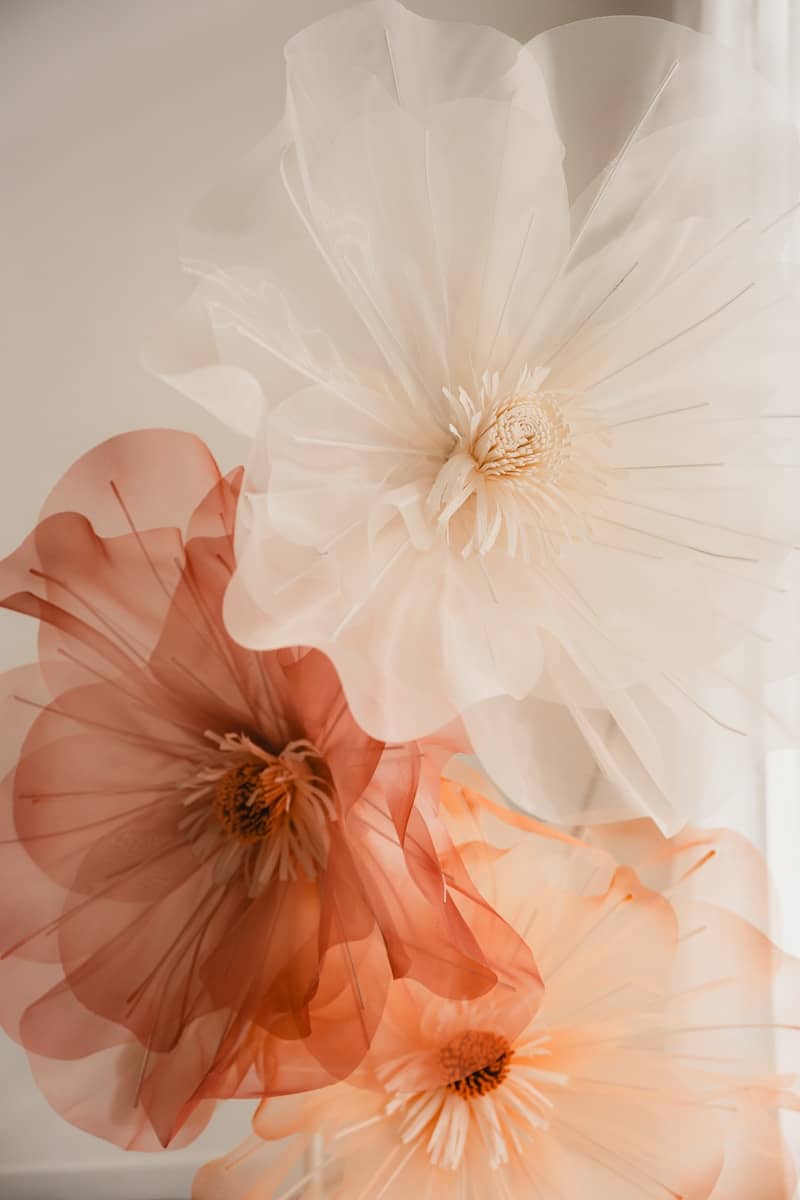 A vase filled with flowers next to a window