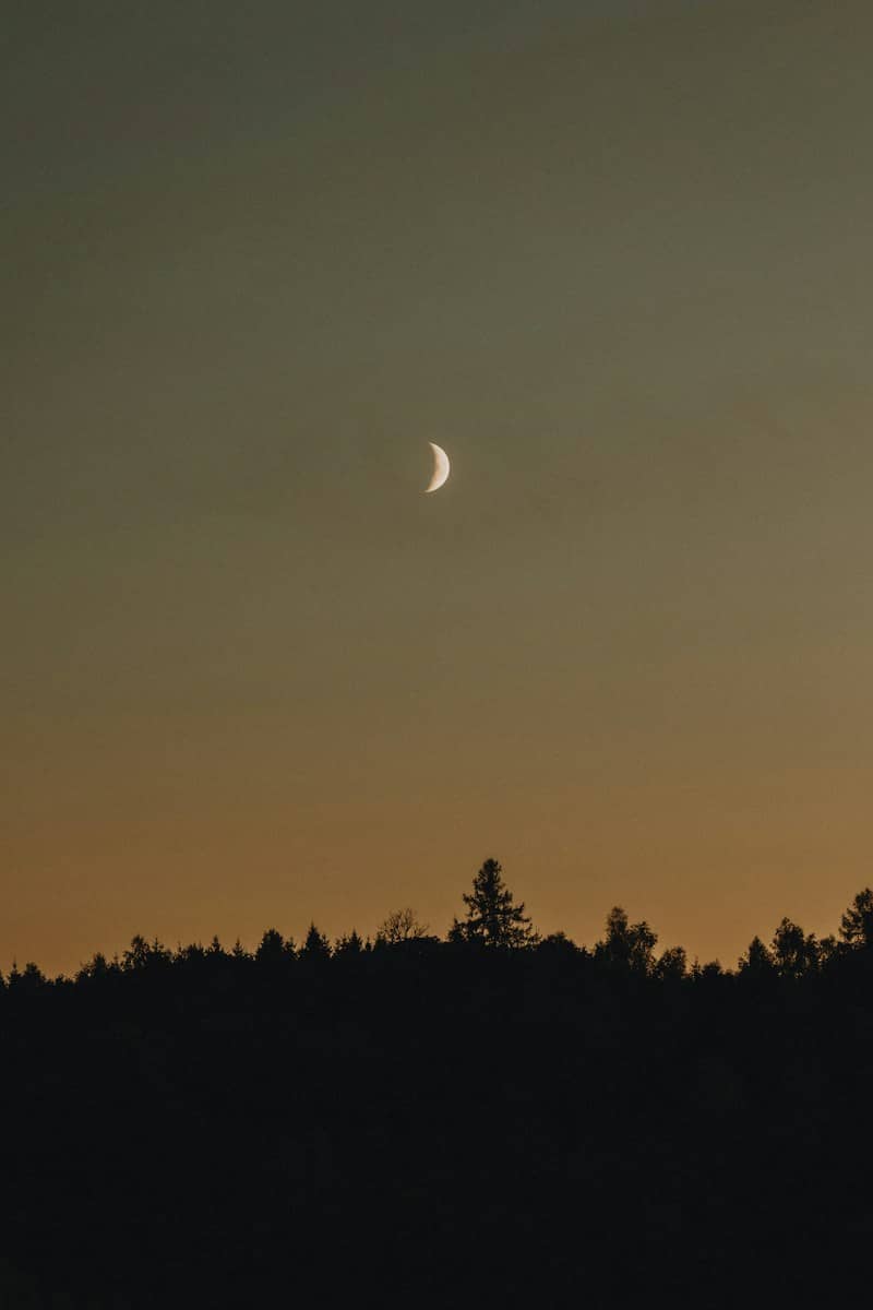 A crescent moon in a warm orange sky above a dark forest silhouette