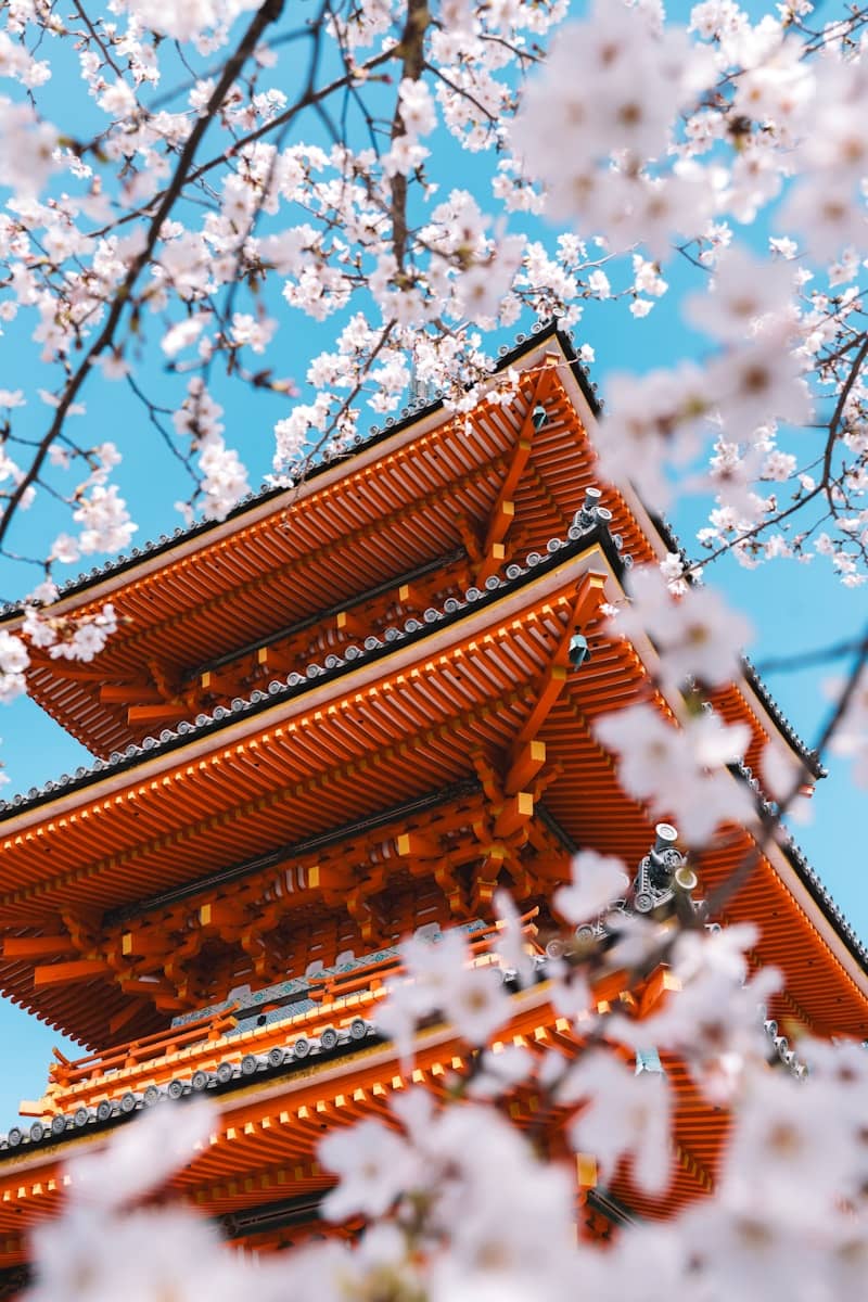 Orange pagoda surrounded by blooming cherry blossoms