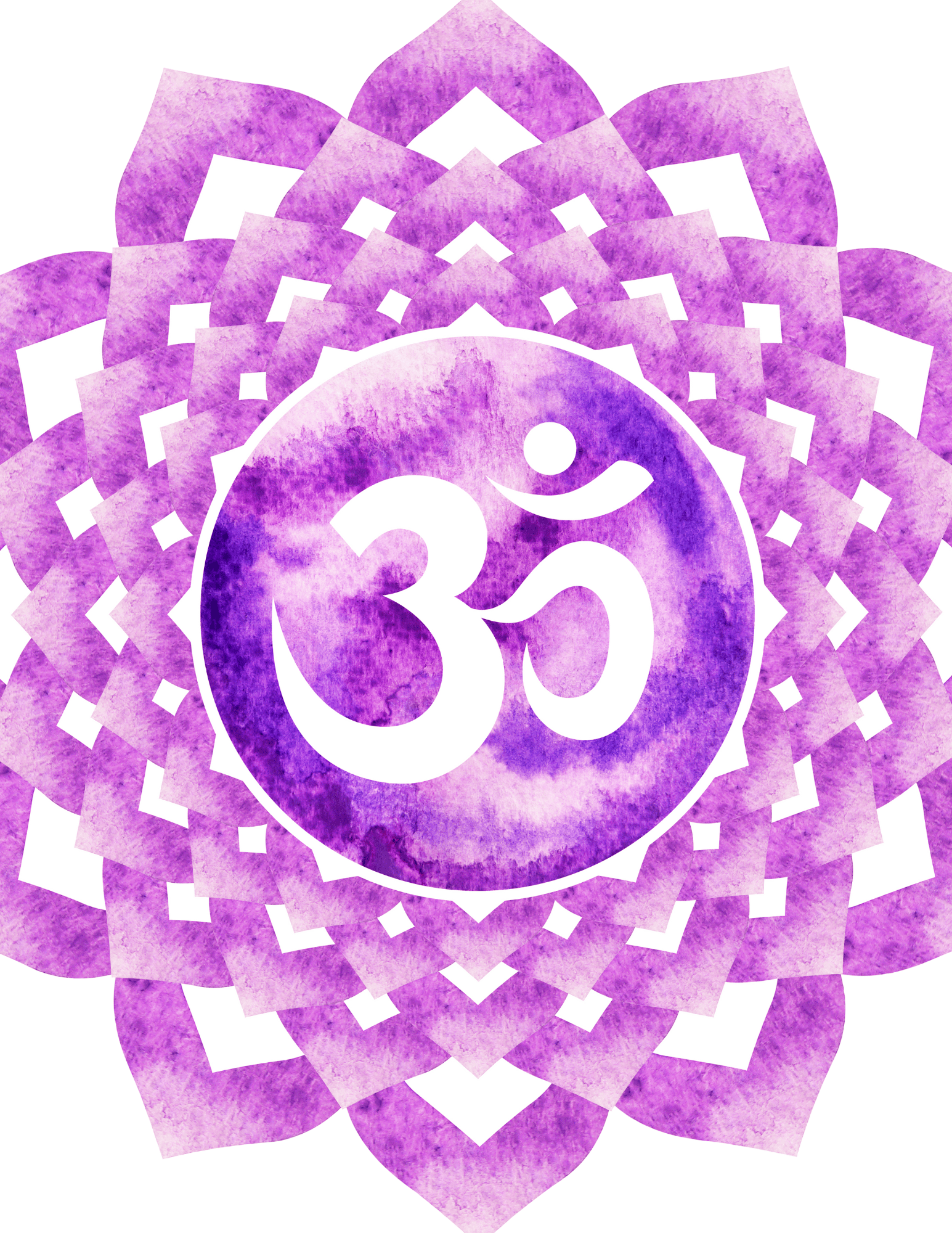 Intentional Mindful Sustainable SC Newsletter Vol#30