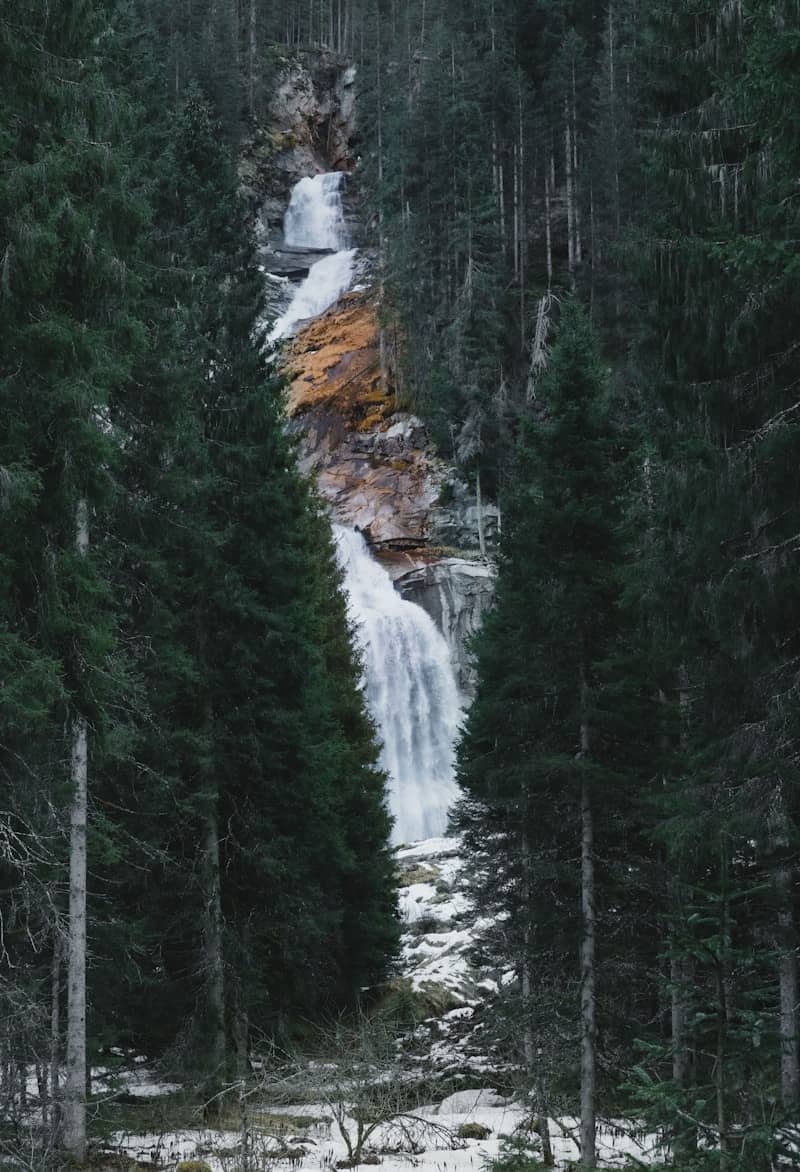 Waterfall flows through a dense, evergreen forest.