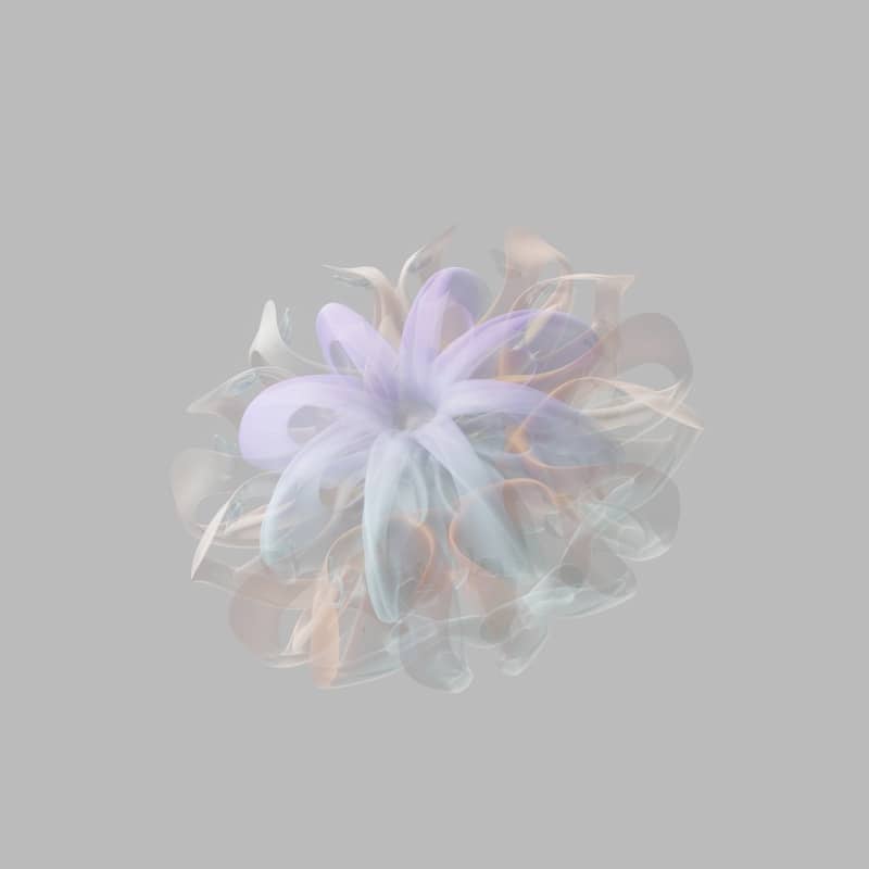 A dreamy, blurred flower floats gently.