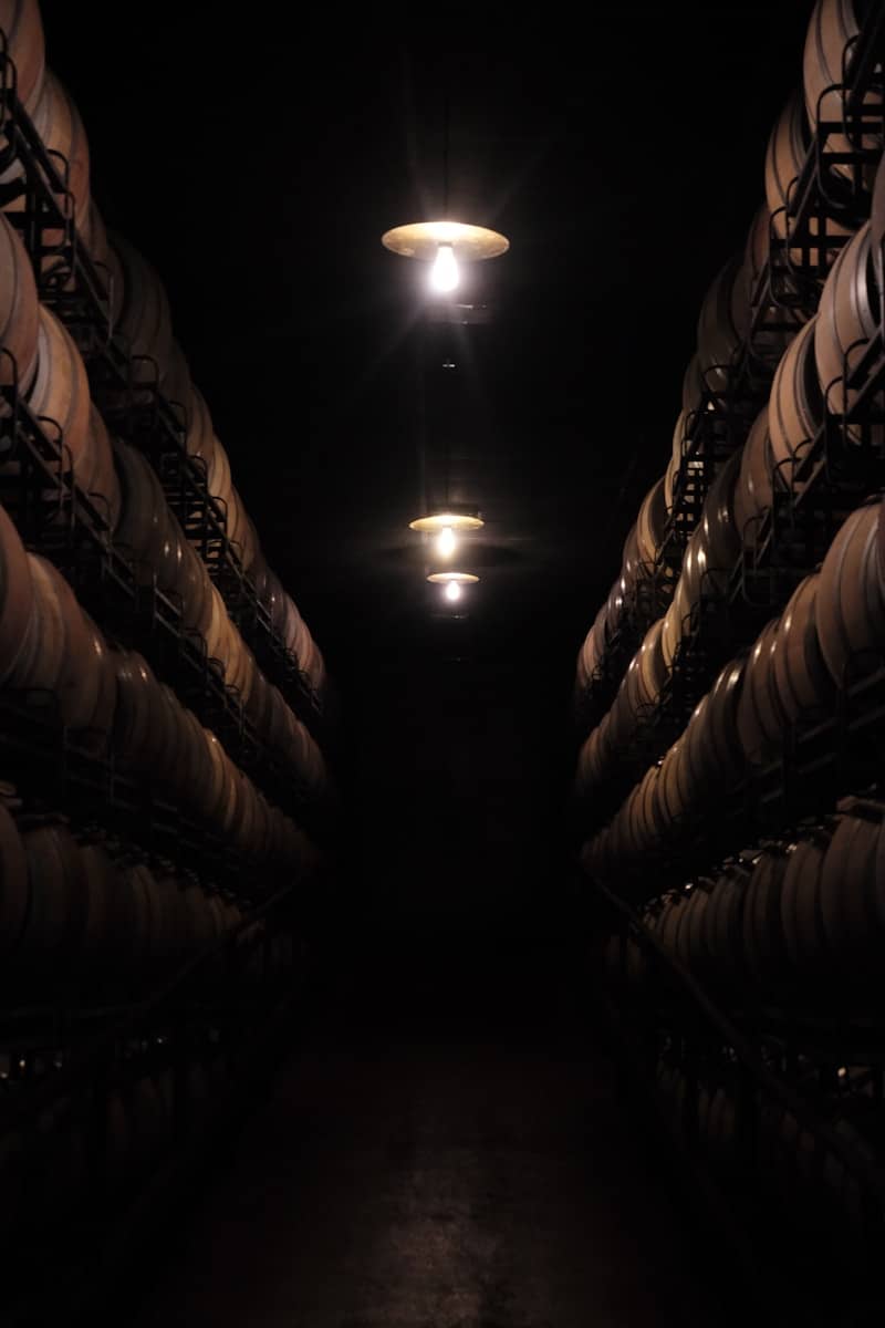 Rows of wine barrels in a dark cellar