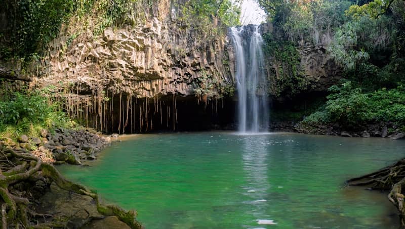 A beautiful waterfall cascades into a stunning green pool.