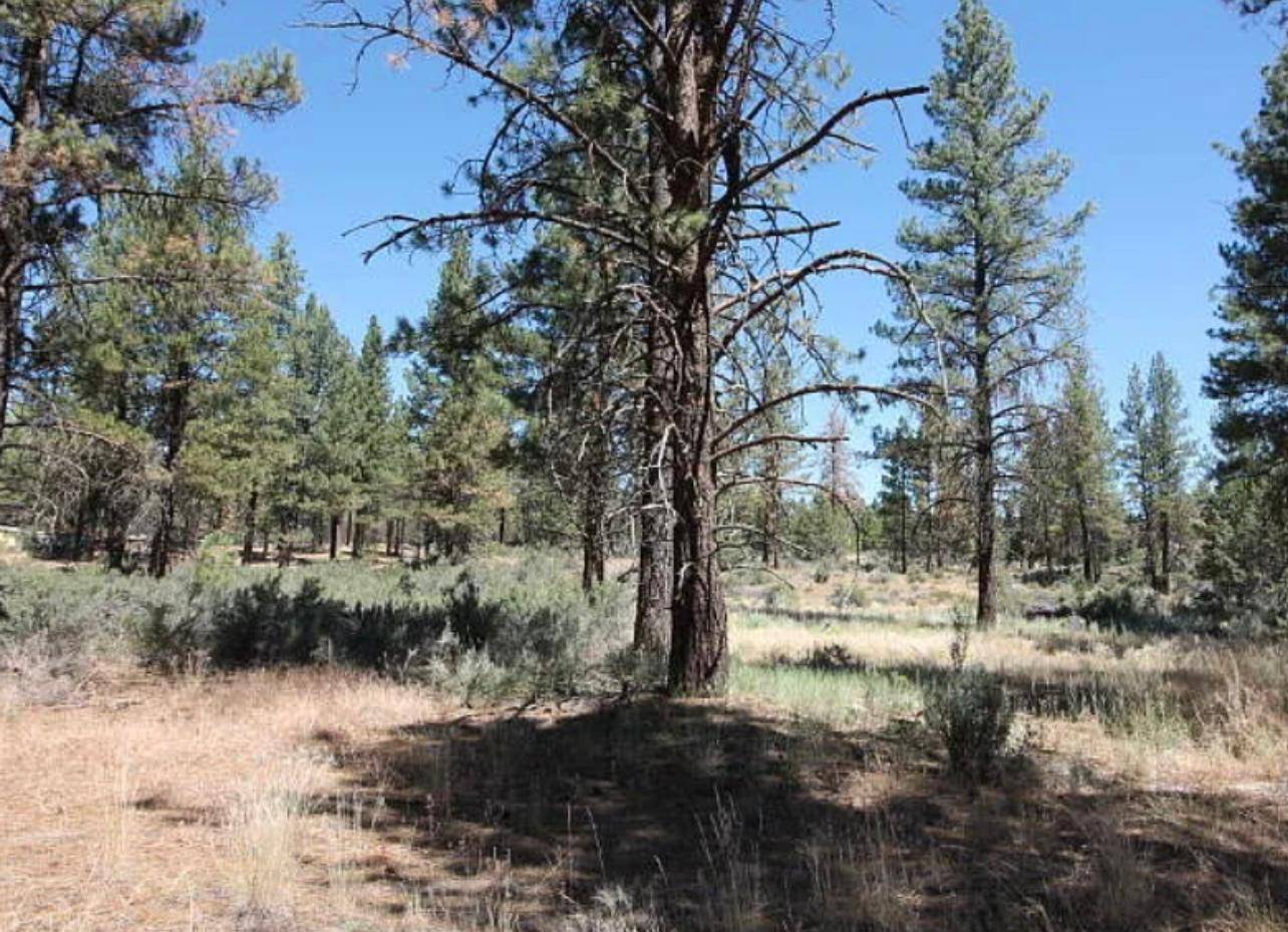 2.35 Acres of Greenery in Chiloquin — Klamath County, OR
