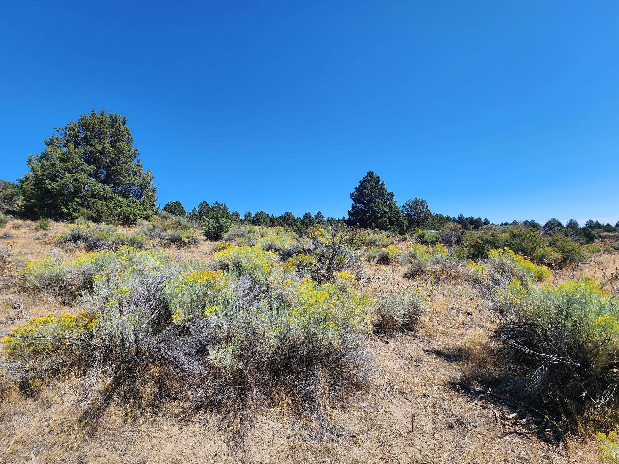 2.06 Acres Near the River — Off-Grid Hideaway, Klamath County, OR