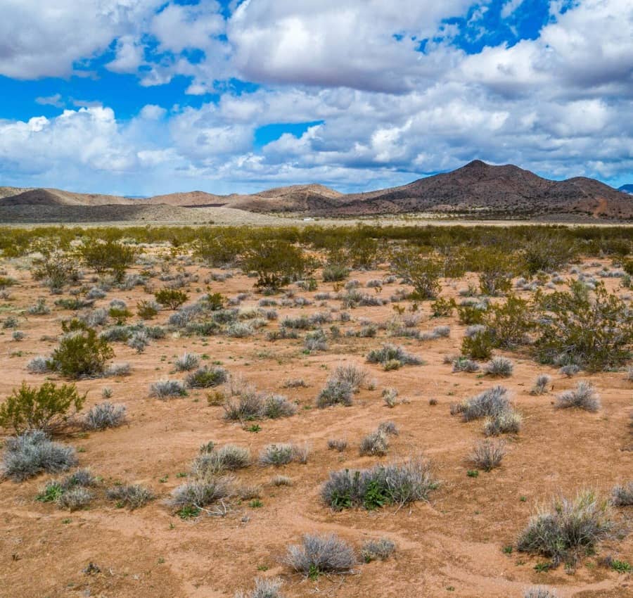 0.19 Acres — Desert Dreaming in Mohave County, AZ