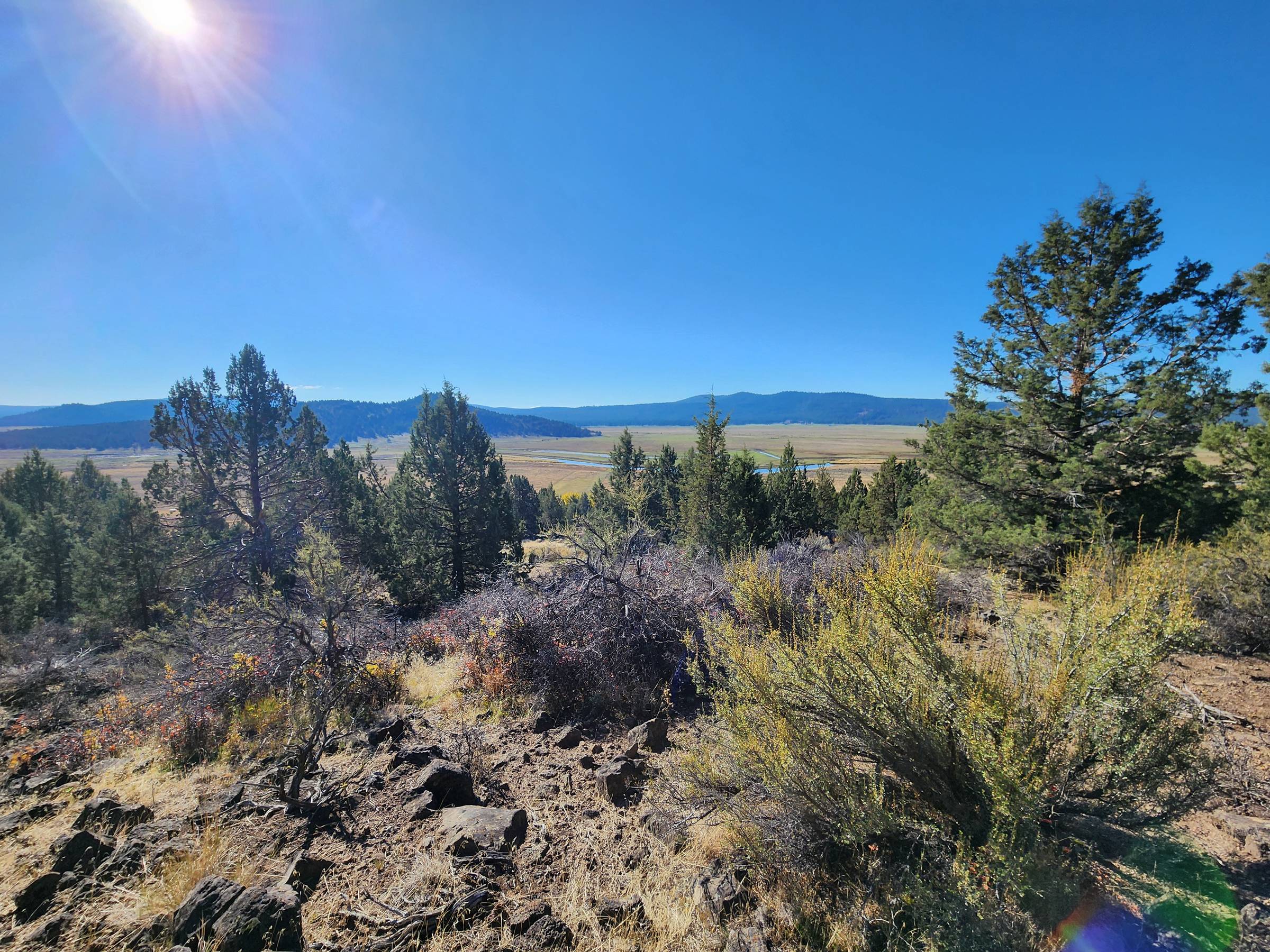 2.92 Acres — Spacious Oregon Hideaway in Nimrod River Park, Klamath County, OR