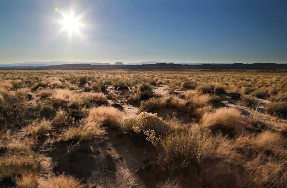 1.03 Acres in the Mohave Desert — Golden Shores/Topock, AZ