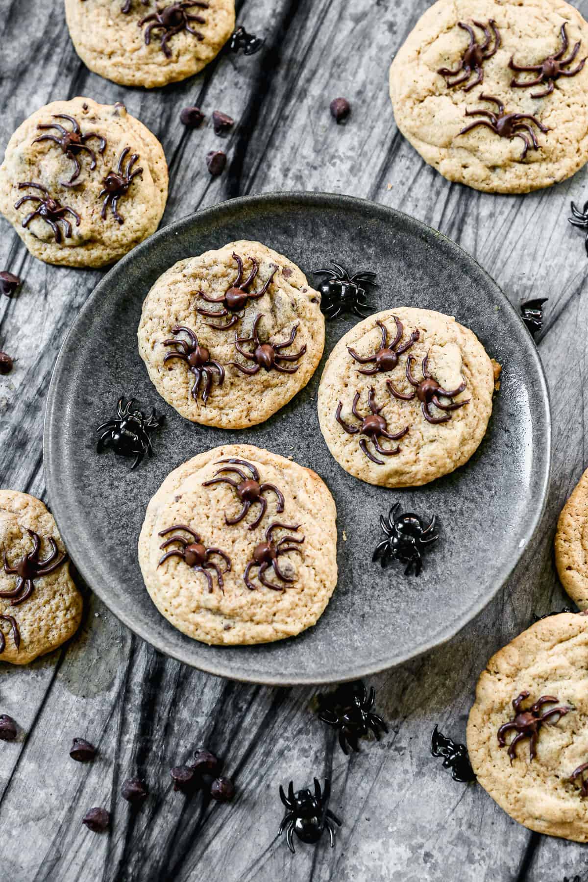 Spider Cookies.