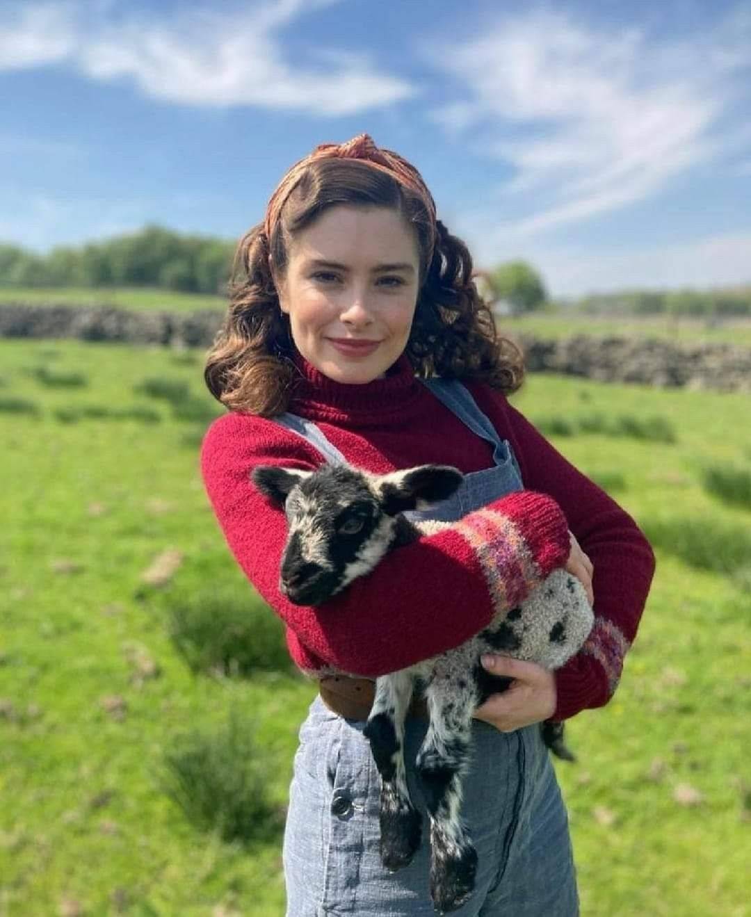 All Creatures Great and Small