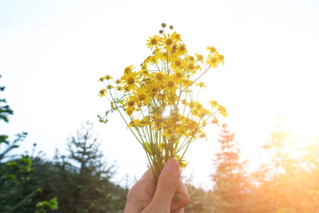 Hand holding yellow flowers up to sky