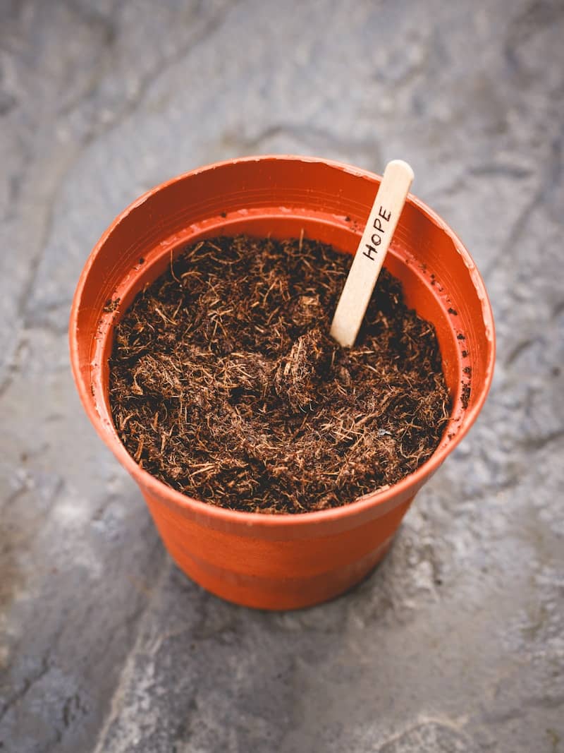 A small plant pot with soil and a "hope" marker.