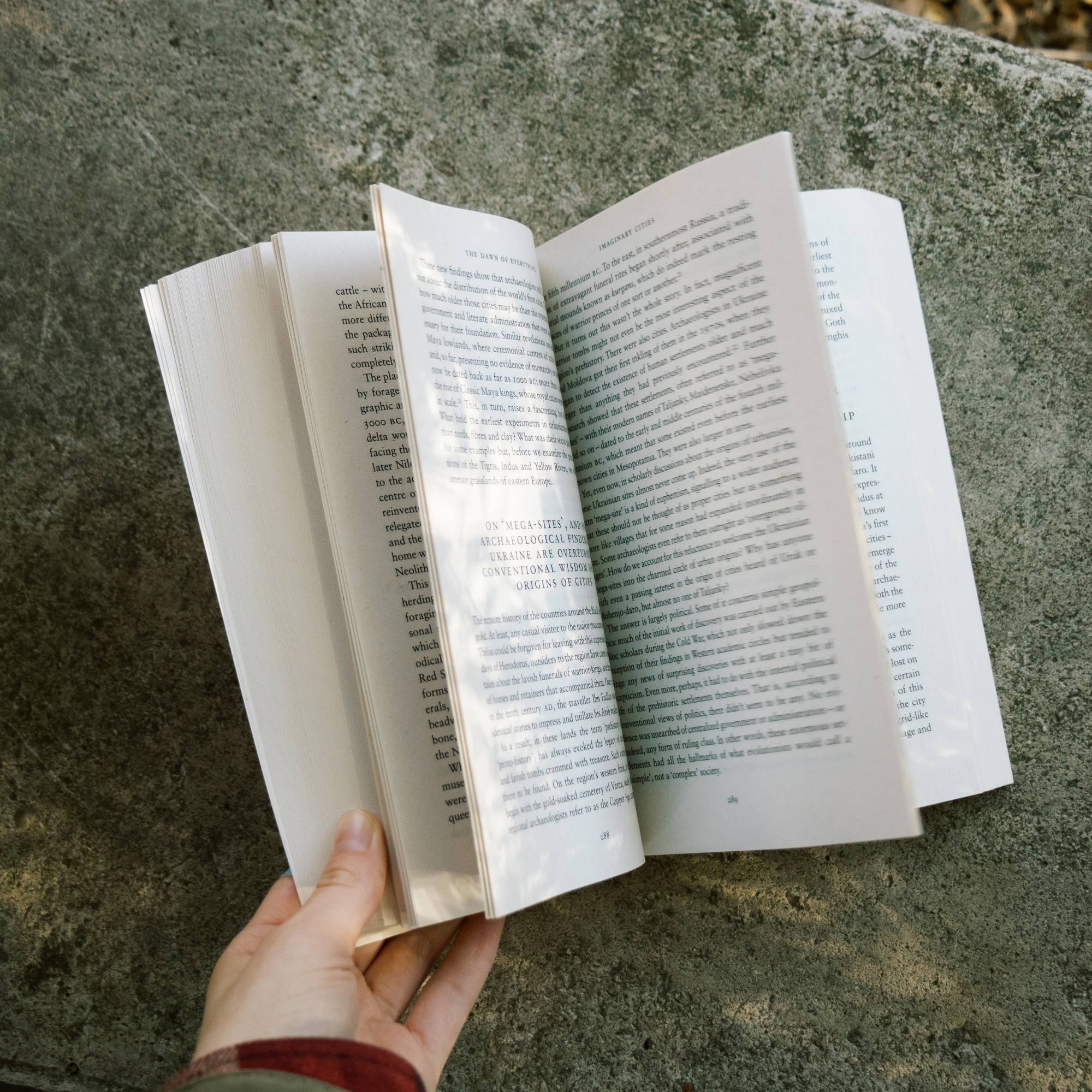 Monthly Subscription