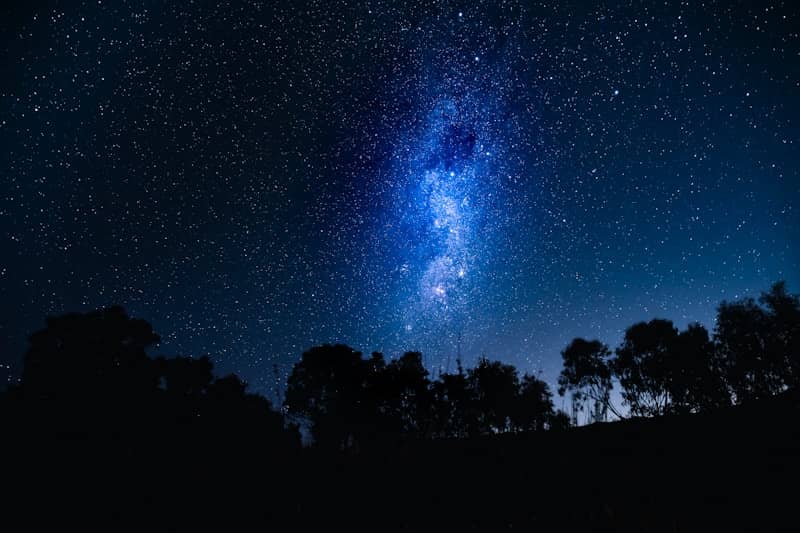 The night sky with stars and trees in the foreground