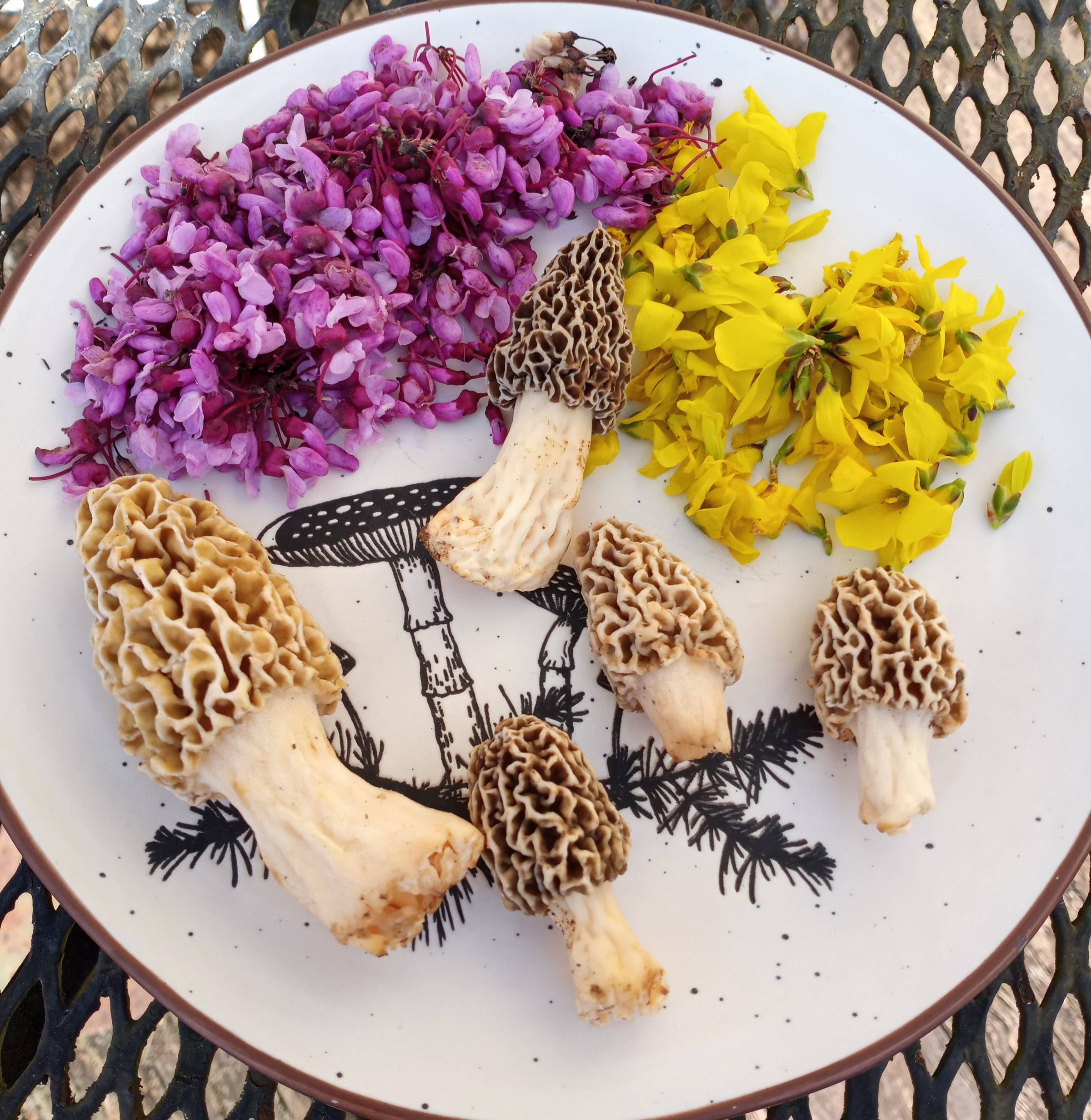 Upcoming Happenings!