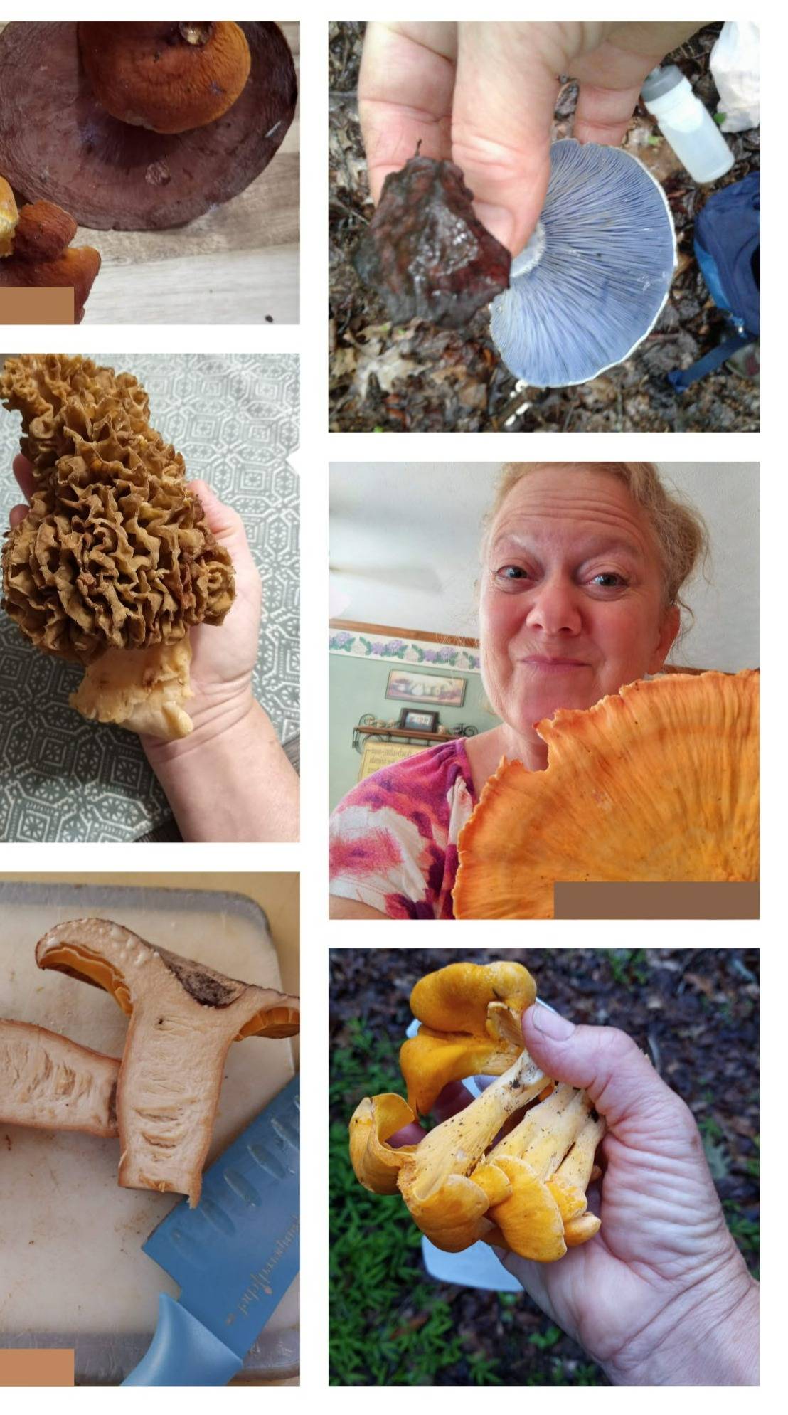 3 Steps to a Successful Mushroom Hunt