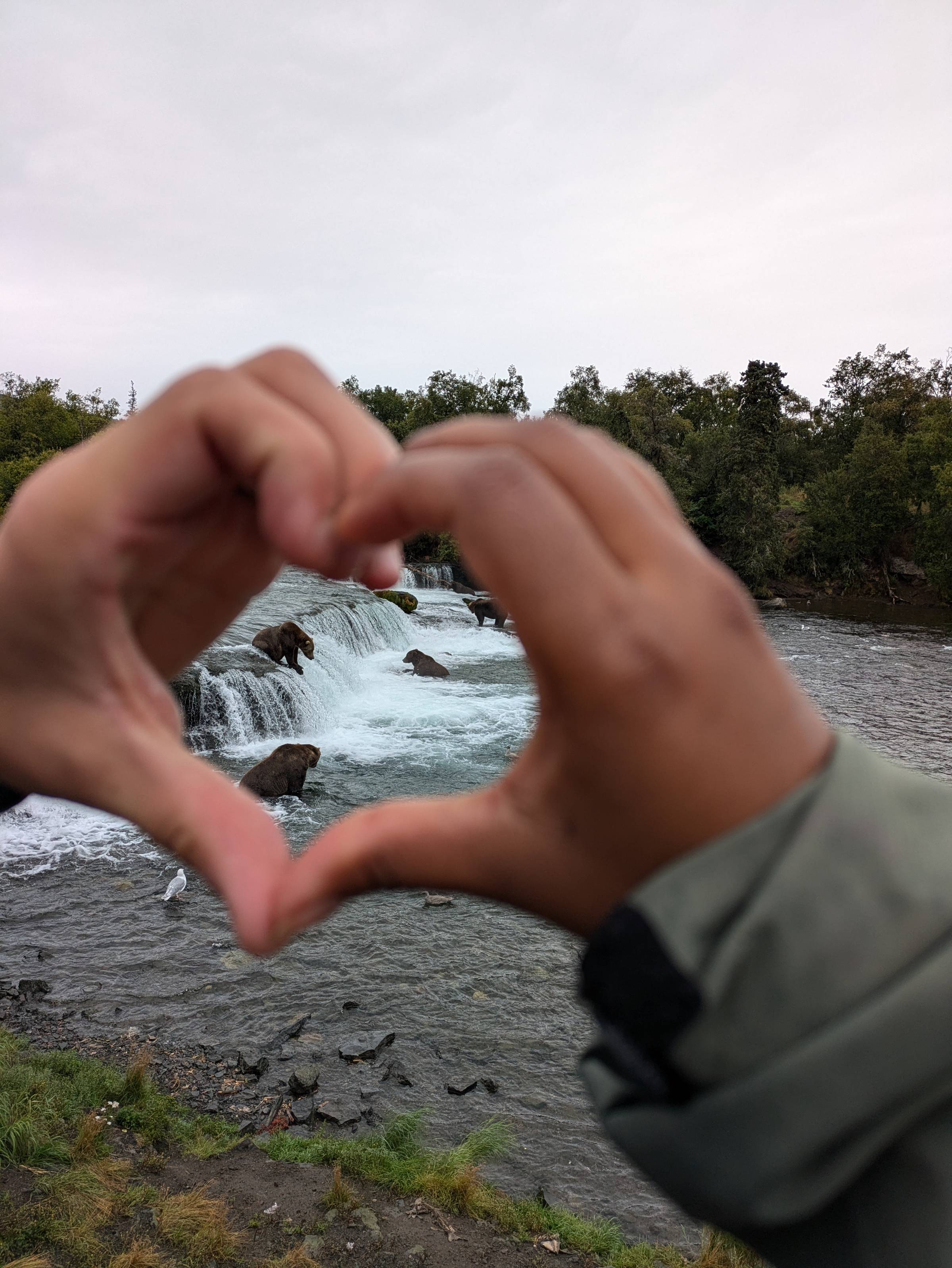 5 bears with me and Ben forming a heart around them with our hands