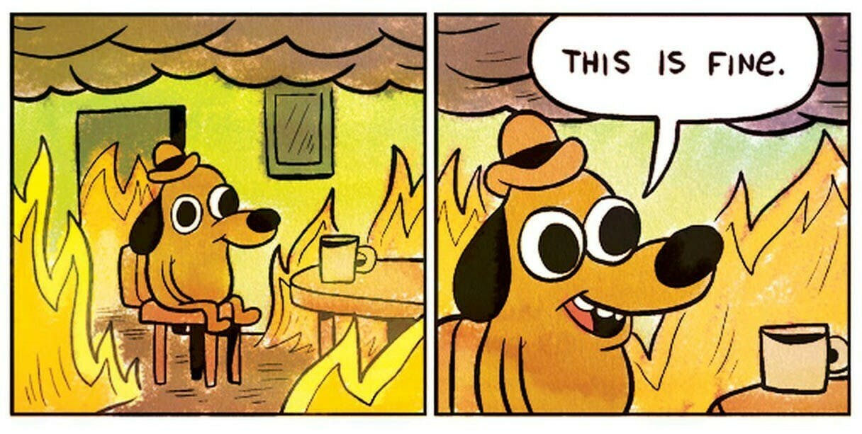 the this is fine dog meme