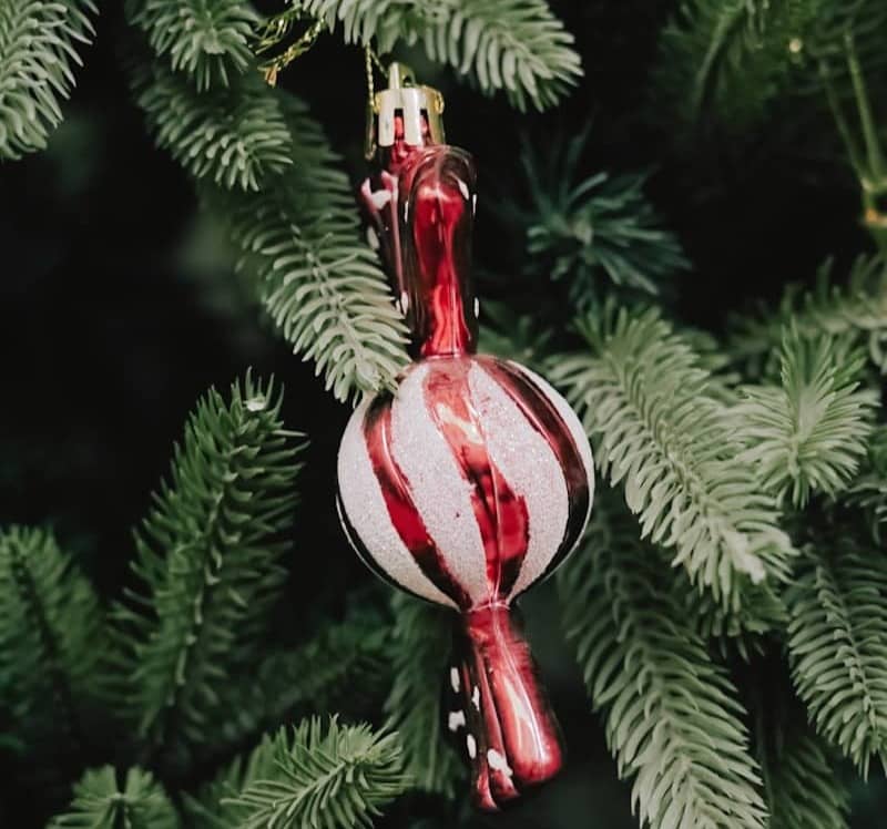 A festive candy cane ornament hangs on a christmas tree.