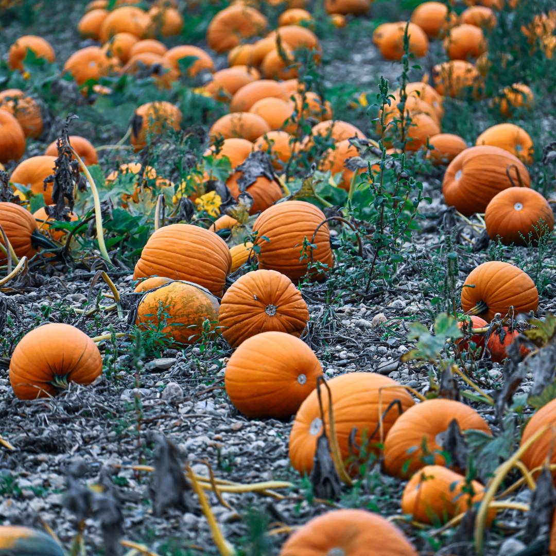 Give yourself permission today to say it:  I am not where I was.  And thank God for that.