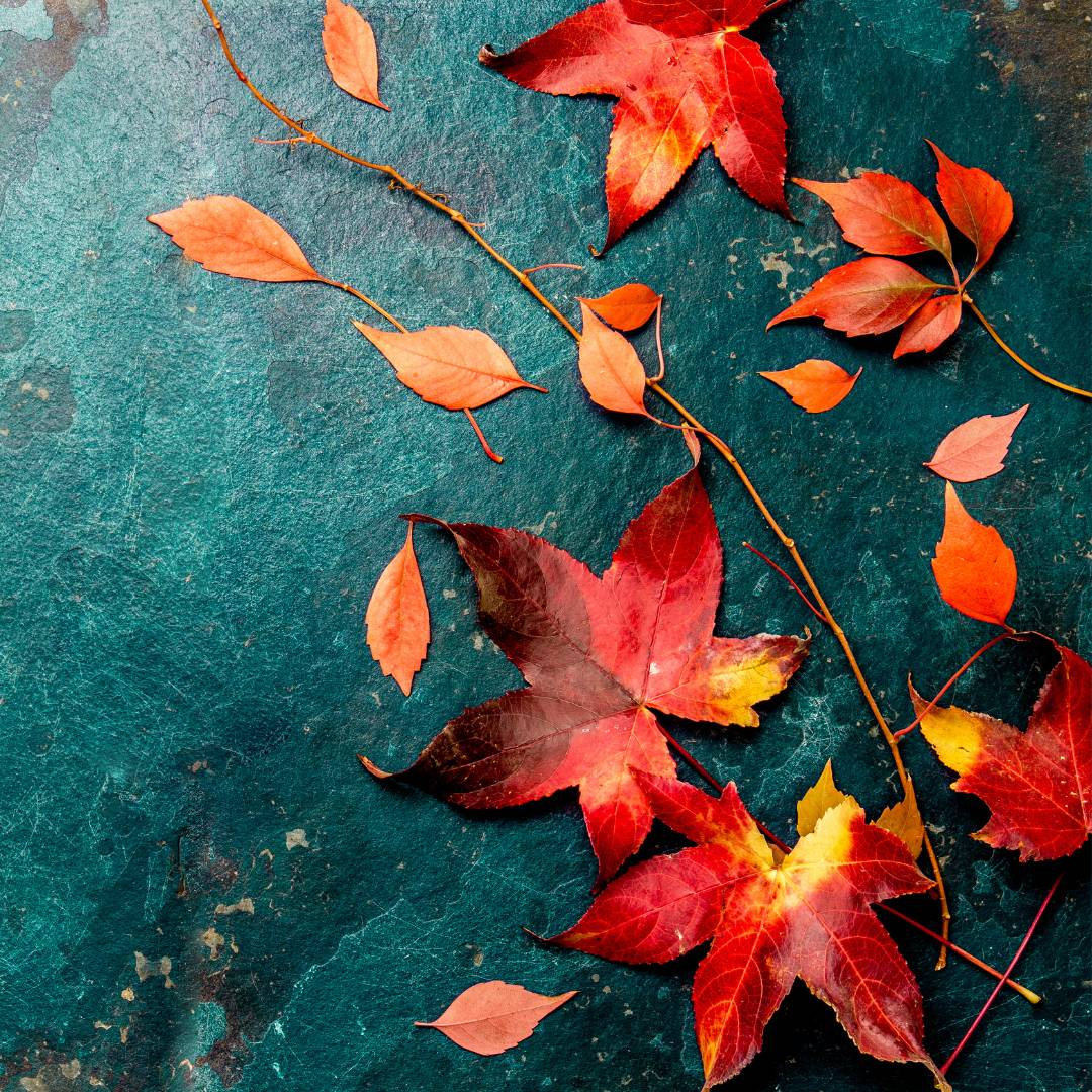 A closed attempt does not always mean a closed invitation. Sometimes it simply means, “Try again, differently.”  Invitation  Is there something you've quietly decided you're done with because it didn't work the first time?  Bring it back to God.  Ask:  “I