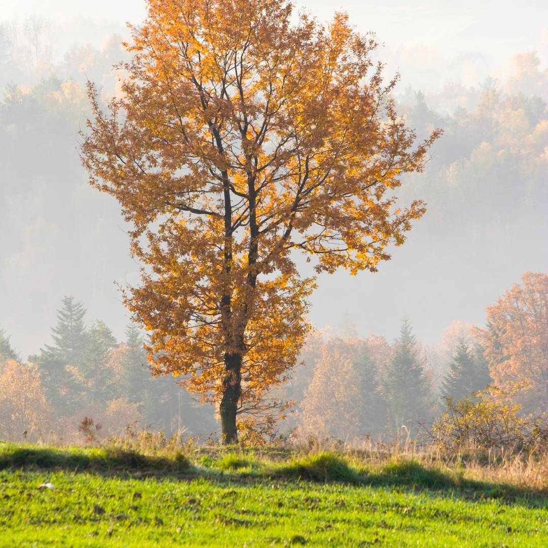 As September comes to a close, sit somewhere quiet and ask yourself:  What is God inviting me into?  And then:  What would it look like to faithfully respond?  Don't force an answer.  Just listen.  The next invitation may already be closer than you think.