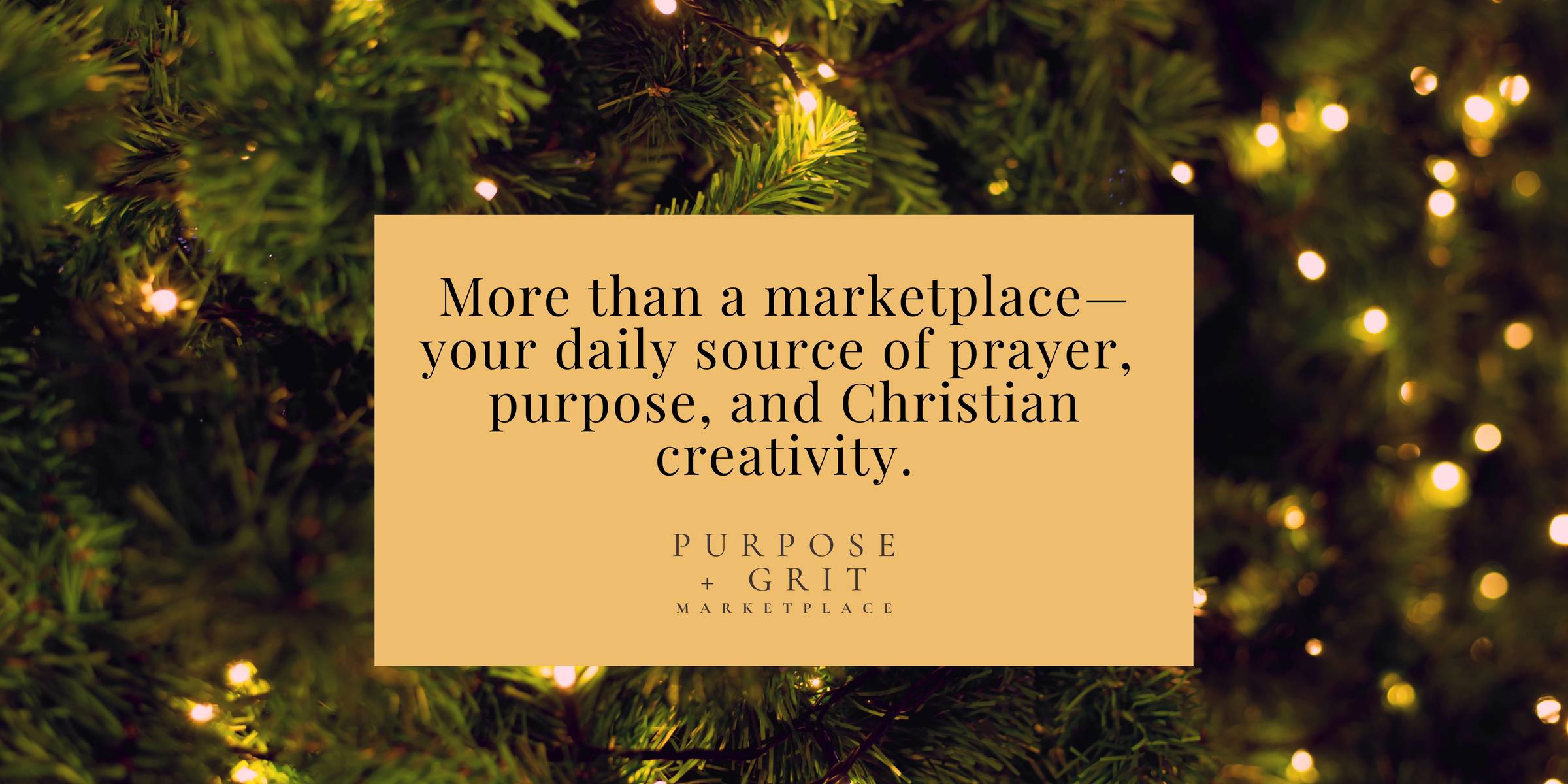 December Newsletter