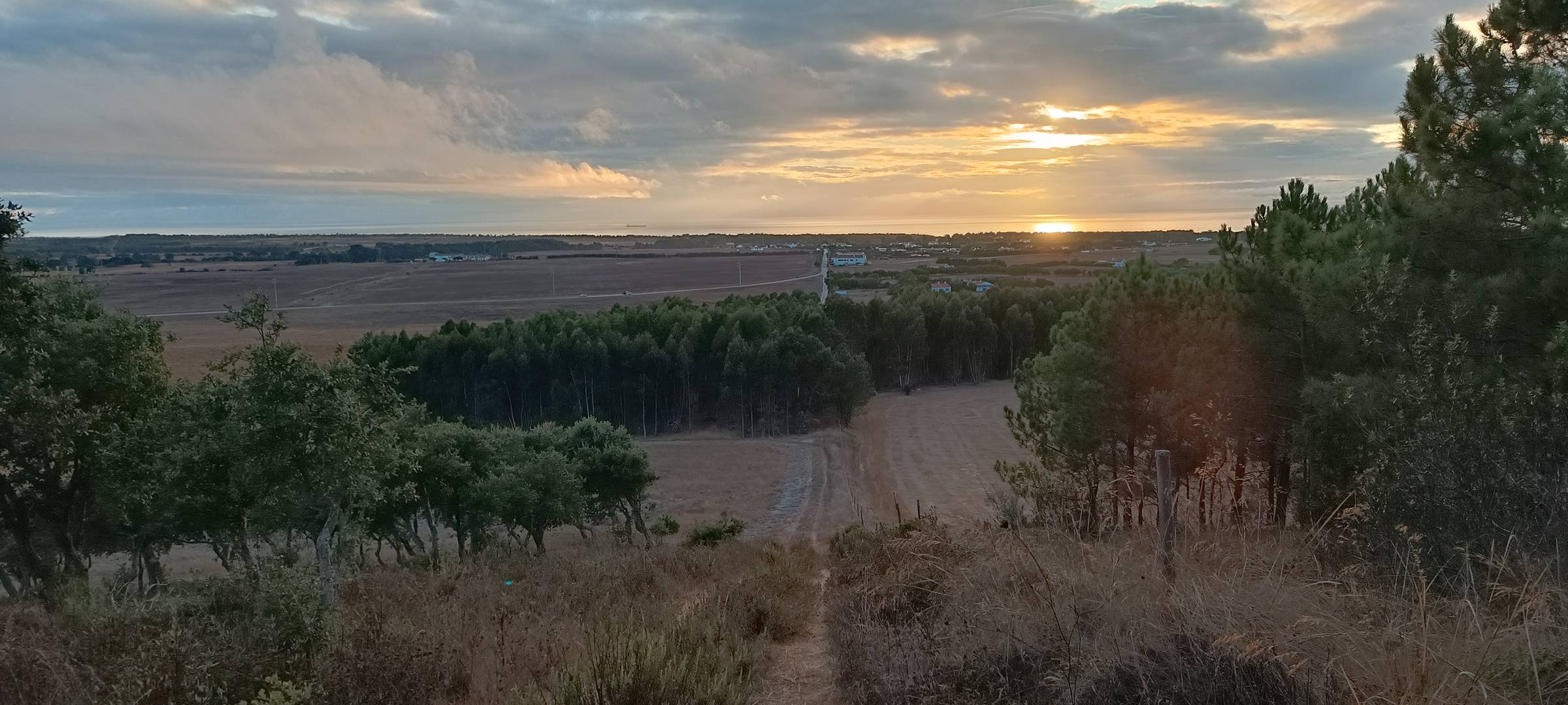 A golden-hour wide view of the Alentejo coast in Portugal. Pine and eucalyptus stand in the foreground, open fields and forest sweep out toward the Atlantic on the horizon, and the sun sits low in a cloud-streaked sky.