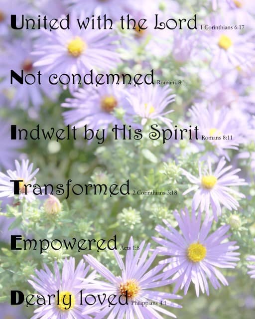 UNITED on Purple Daisies background