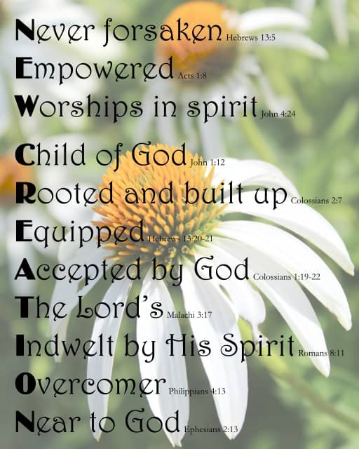 NEW CREATION Scripture word art with close-up of a daisy in the background