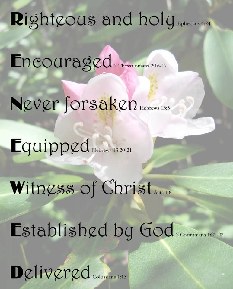 RENEWED on Rhododendron background