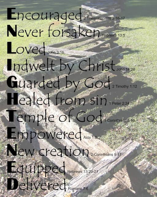 ENLIGHTENED on ZigZag Fence background