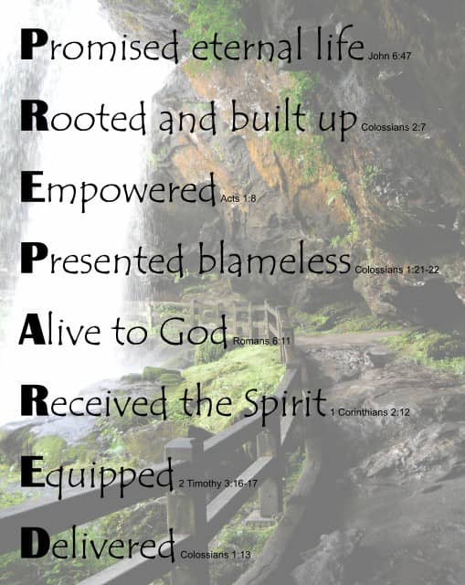 PREPARED on Dry Falls background